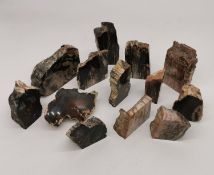 A collection of thirteen polished petrified wood pieces. Largest H.10.5cm