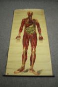 A large vintage St. John's Ambulance medical poster by J. Teck. H.160 W.80cm.