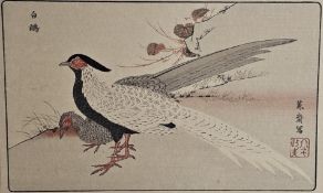 Kitao Masayoshi (1764-1824), woodblock print, silver pheasants. H.46 W.33cm.