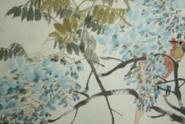 Watercolour, mid century Japanese, birds amongst blossom, signed. H.35 W.37cm.