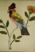 A 19th century watercolour and featherwork study of an exotic bird perched on a branch, framed and