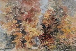 A framed and glazed watercolour, trees in autumn, signed and dated Richard R Harris. H.73 W.96cm.