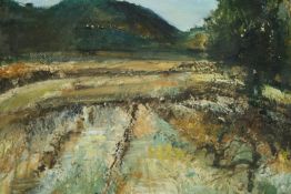 Barbara Robinson (B.1928), oil on canvas, mid century expressionist style landscape, signed bottom