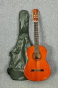 A Yamaha FG-180 guitar along with an Admira guitar.