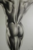Peter Arnold, black and white photograph of a nude male, signed by artist. H.97 W.81cm.