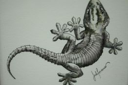 A pen and wash drawing of a lizard, signed Jack Foreman, in a gilt glazed frame. H.27 W.31cm.
