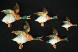 Set of five Beswick hand painted graduated (596) Mallard wall plaques. H.30 L.30cm. (largest).