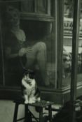 Victor Macarol 'Cat and Marilyn' reprint from Musée de l'Élysée, in a silvered frame. H.70 W.50cm.