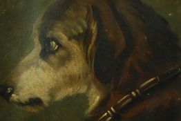 T. Holt, a 19th century English School oil on board, a portrait of a hound, signed and dated 89. H.