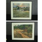 Two framed and glazed acrylic paintings, African landscapes, both signed by Richard Witikani. H.47