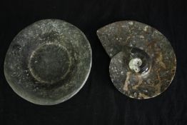 A polished stone fossil nautilus and another fossil carved into a bowl. L.25 W.20cm. (largest).