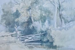 A framed and glazed watercolour, woodland scene, signed. H.36 W.45cm