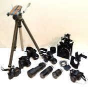 A collection of cameras and accessories to include tripod and lenses; Nikon, Canon, Olympus and