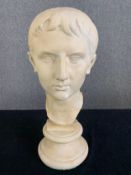 A plaster bust, the young Augustus Caesar. H.47 Dia.24cm.