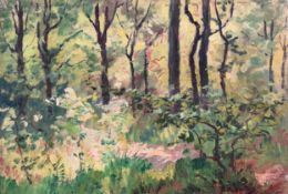 Oil on board, woodland study, indistinctly signed. H.37cm x W.52cm