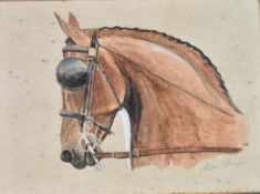 A framed and glazed watercolour, horse portrait, signed Alan Ellison. H.41 W.47cm.