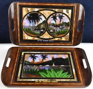 A pair of vintage trays decorated in mother of pearl and various species of Morpho butterfly