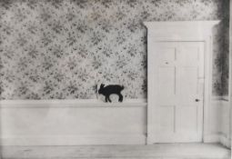 A limited edition print/photograph titled 'Wayfaring Hare Visits Hinwick' 2014, by Jane
