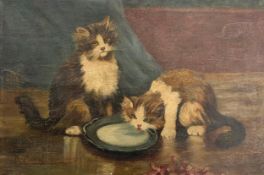 Oil on canvas, probably late 19th century, cats with a bowl of milk, indistinctly signed. H.16 W.