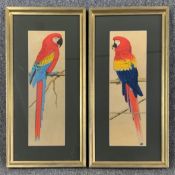 A pair of watercolour studies of Macaws, framed and glazed. H.61 W.31cm (each)