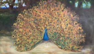 A large acrylic on canvas, a peacock, signed N Armstrong, gilt framed. H.131 W.215cm