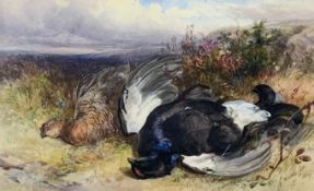 James Hardy Jnr (1832-1889), a framed and glazed watercolour, still life game, signed and dated
