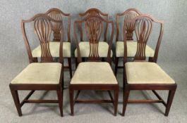 A matched set of six Georgian mahogany dining chairs. H.97 W.51 D.46cm (largest)