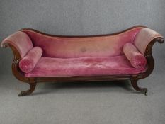 A Regency mahogany double scroll end sofa on swept reeded supports terminating in brass cap casters.