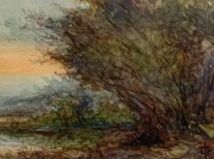 A framed and glazed watercolour, tree in a landscape, monogrammed. H.31 W.35cm