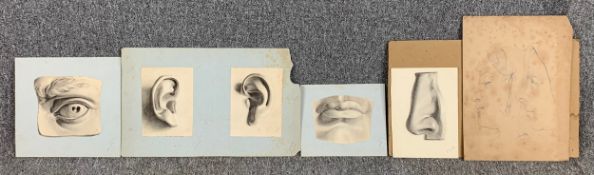 A collection of pencil drawings, studies from Michelangelo's David and a 19th century portrait