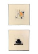 Susan Norrie 'Flamingo' 1989 ed. 31/60 signed, dated and editioned etching. Susan Norrie 'Mole' 1989