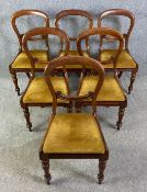 A set of six Victorian mahogany balloon back dining chairs. H.87cm (each)