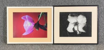 A pair of framed and glazed photographs, signed and titled. H.45 W.51cm (largest)