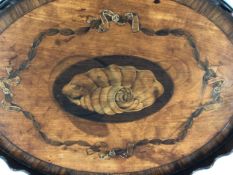 A Georgian mahogany tray with central conch shell paterae with ribbon and husk inlay within a