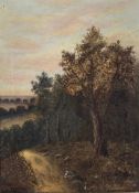 A 19th century oil on canvas, English school woodland path, indistinctly signed. H.57 W.46cm