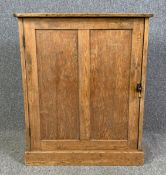 A 19th century pine pantry cupboard. H.80 W.66 D.44cm