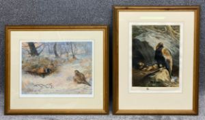 Two signed chromolithograph prints of birds by Archibald Thorburn. Both framed and glazed, one under
