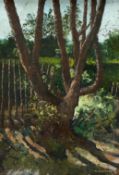 A signed impressionist style oil on board 'The Gap in the Fence', by Vivian Bewick in a painted