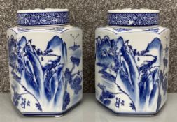 A pair of Chinese blue and white hexagonal tea caddies, with marks to the base and a Chinese