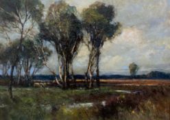 An early 20th century oil on canvas, rural landscape with river to the foreground, initialled C H