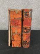 Two volumes of Shakespeare plays published by Cassells. H.26 W.19 D.8cm (largest)