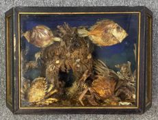 A cased Victorian style taxidermy sea-bed setting. H.32 W.49 D.18cm