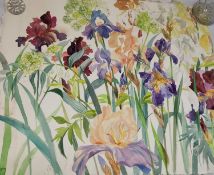 Elizabeth Jane Lloyd (1928-1995) Chelsea School of Art, a watercolour of Irises, unframed. H.60 L.