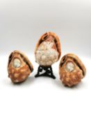 An Italian carved conch shell lamp on a patinated brass stand, along with two other carved cameo