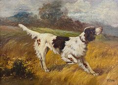 A 19th century oil on canvas, a hunting dog on point, signed P Jones. Framed. H.35 W.40cm