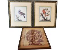A pair of bird prints and a needlework panel, all framed and glazed. H.42 W.60cm (Tapestry).
