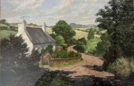 A large framed and glazed watercolour, cottage by a lane, signed. H.64 W.81cm
