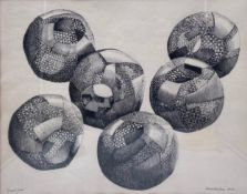 A signed and dated ink drawing on paper titled 'Spent Pods' 1995, by Robert De Quin. Framed and