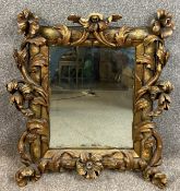 A carved giltwood Florentine mirror with scrolling floral and foliate decoration. (With damage as