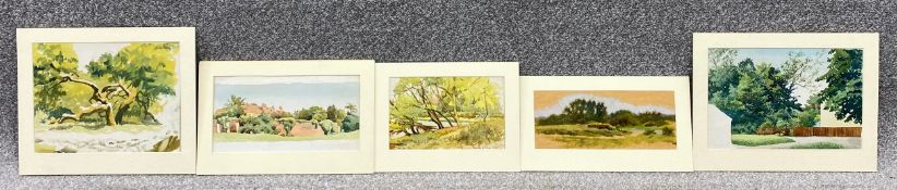 A collection of five window mounted watercolours on paper by Vivian Bewick. All unsigned and